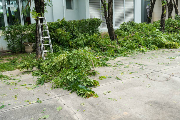 Greenbriar, FL Tree Care Services Company